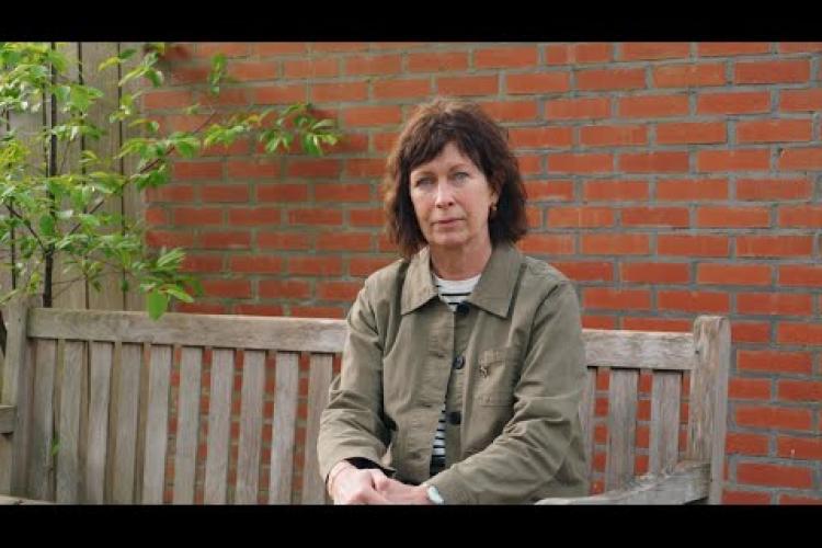 Preview image for the video "Meer personeel nodig voor groeiende sector".